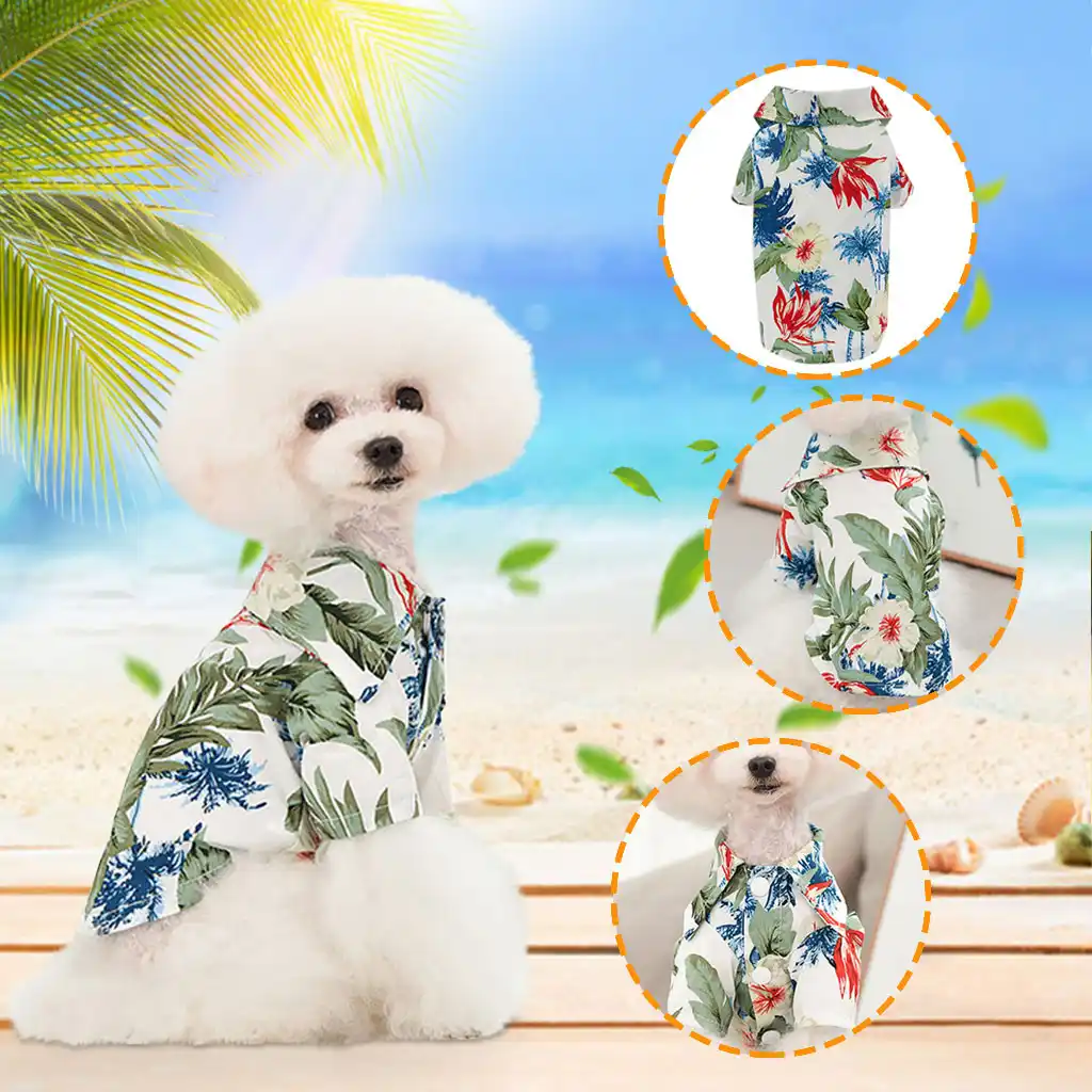 chihuahua hawaiian shirt