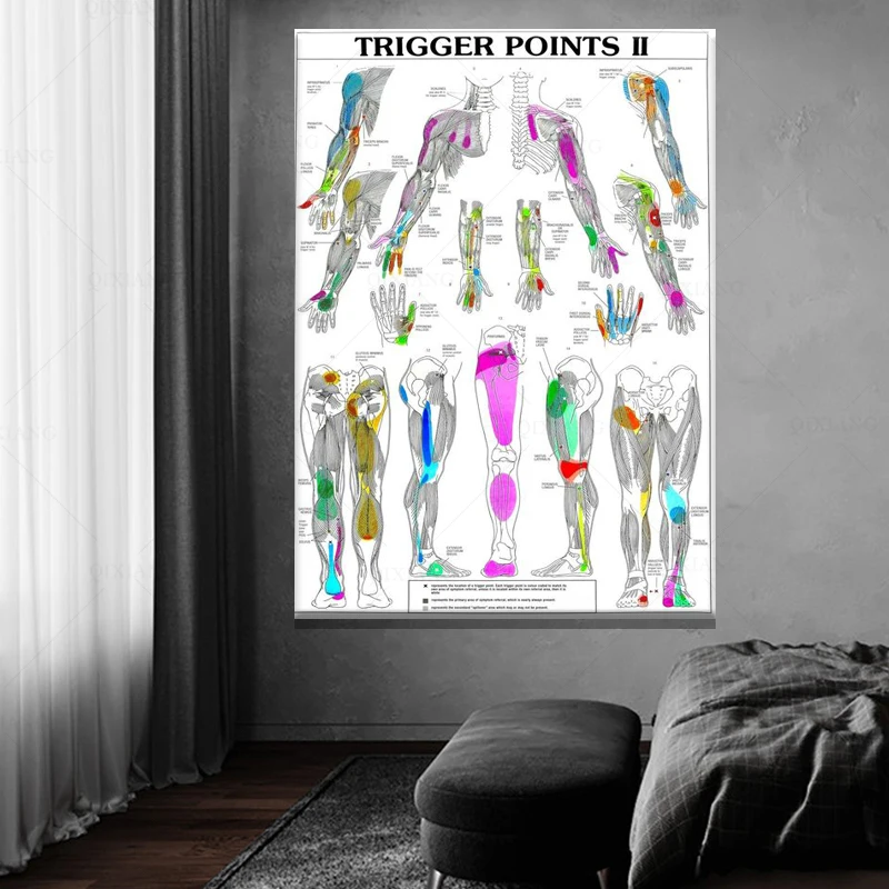 Художественные плакаты на холсте с изображением человеческого тела | Дом и сад
