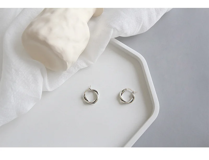 Trendy Big Hoop Earrings Silver 925 Circle Twist Sterling Silver Earring Girls Earings Fashion Jewelry 2019 Huggies Punk Earring (9)