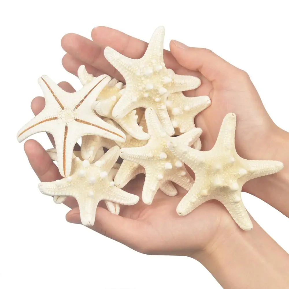 Starfish Ocean Beach Starfish for Wedding Decor Beach Theme Party, Home Decorations,DIY Crafts, Fish Tank