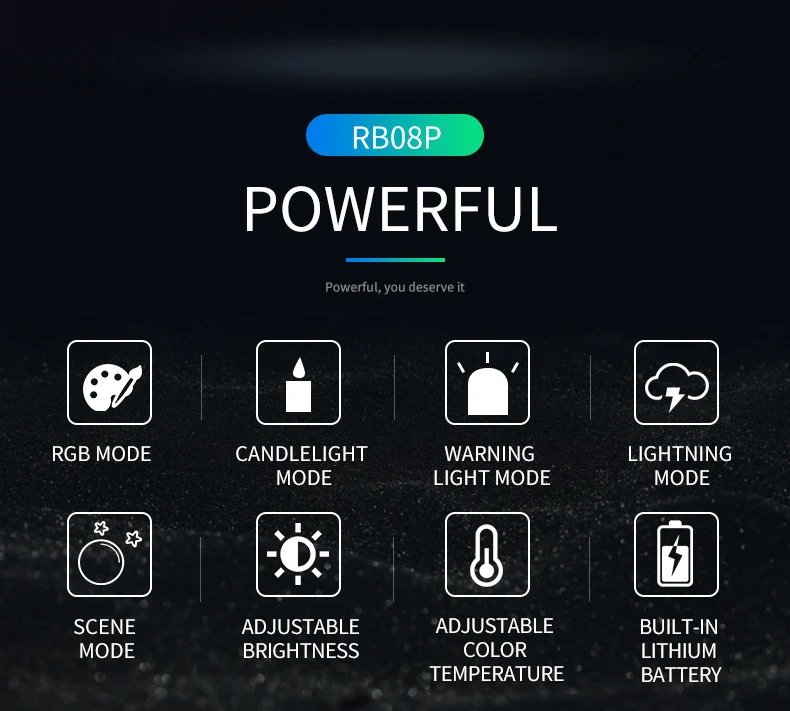 RB08P英文翻译_02