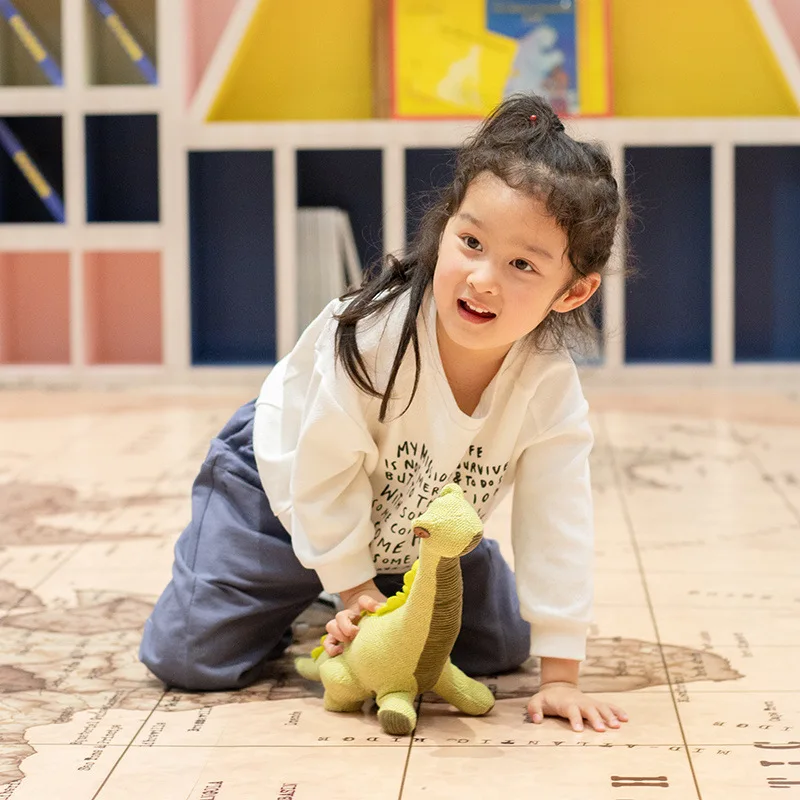 

Fabric Dinosaur Gift Decoration Household Fabric Doll Small Dinosaur Muppet CHILDREN'S Toy Customizable