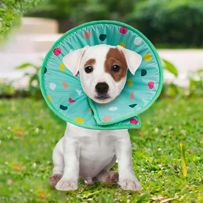 Cat Dog Anti-bite Collar Cute Circle Protective Cover Safe and Durable Soft Polypropylene Bath Shield Pets Supplies