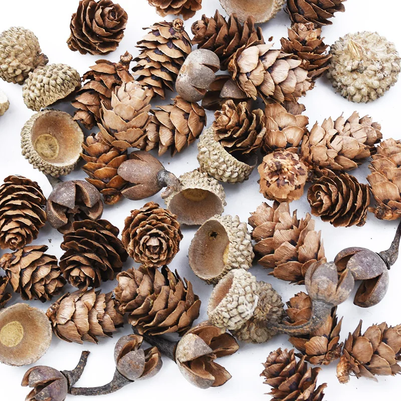 Lovely Natural Dried Flower Pinecone Series Christmas Decorations