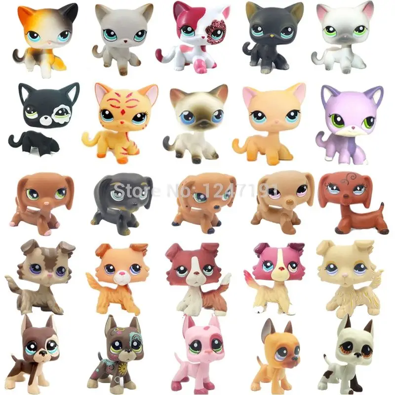 Adorable Animal Littlest Pet Shop Debout Chat à Poils Courts LPS Jouets Original Européen 2,5 Pouces Noël Acheter à Prix Bas - Livraison Gratuite, Avis Réels Avec Des Photos - Foto 8