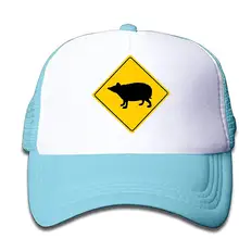 HHNYL для девочек сетчатая задняя Кепка водителя грузовика, ежиПредупреждение Snapback Prime эксклюзивный