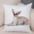 Lovely Pet Animal Pillow Case Decor Cute Little Dog Chihuahua Pillowcase Soft Plush Cushion Cover for Car Sofa Home 45x45cm 12
