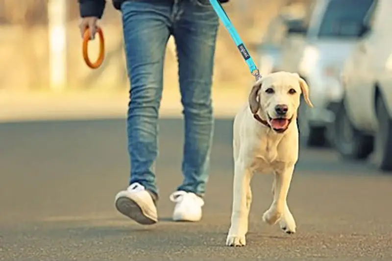 微信图片_201906180902559