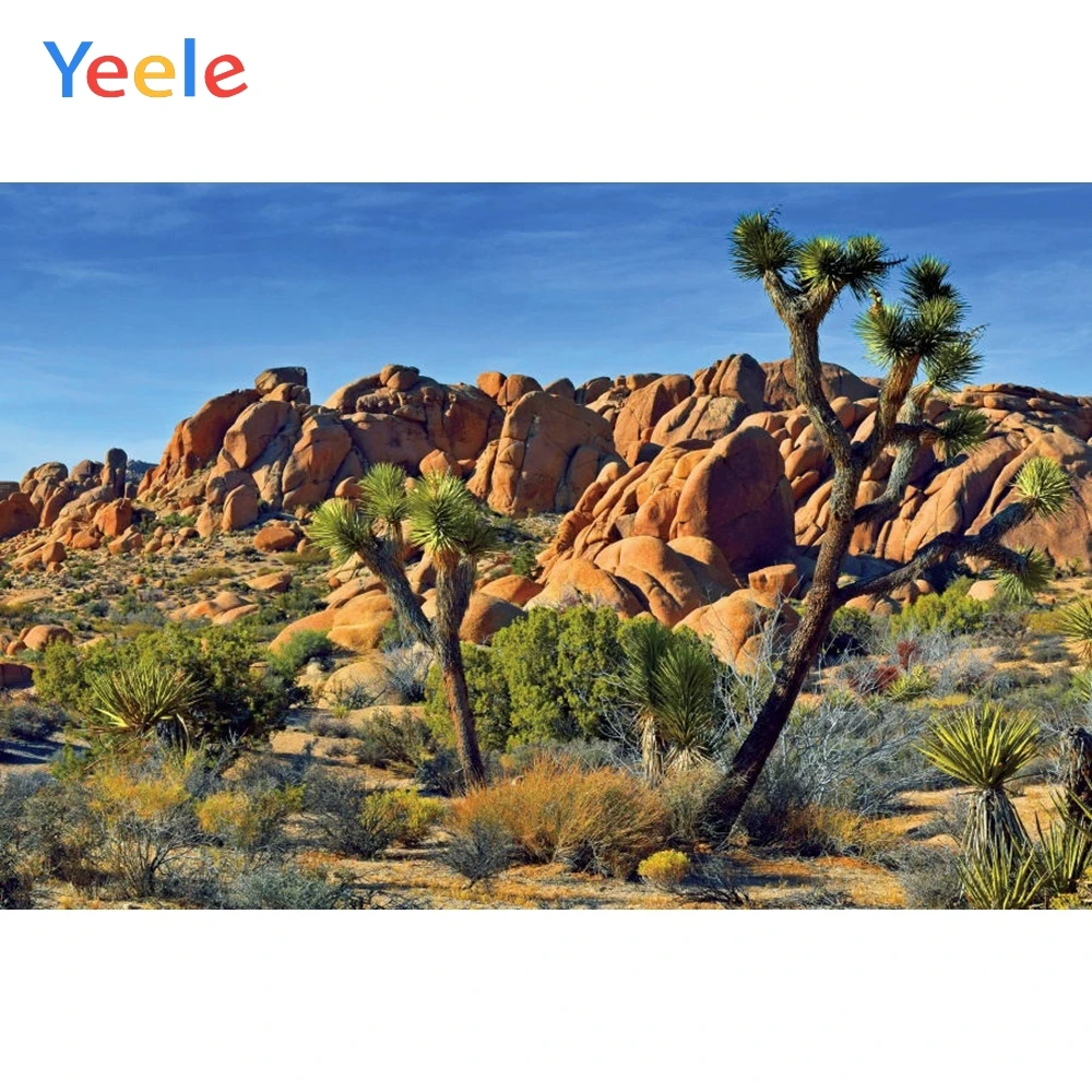 GoEoo Dusk Desert Cactuses Plants Scenic 20x10ft Vinyl Photography Background Sunset Desolate Place Scenery Backdrop Wedding Shoot Indoor Decors Landscape Wallpaper Studio