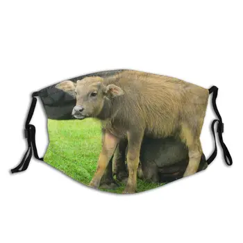 

protective mask with filter Cow anti dust PM2.5 reuse adult teen child girl