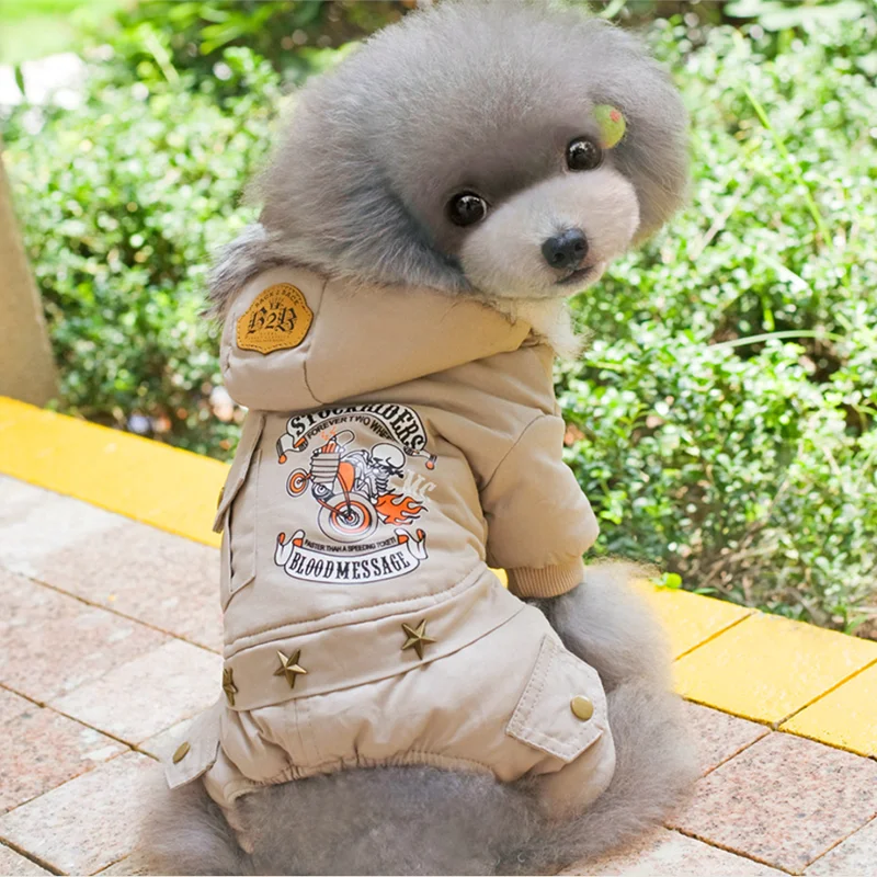 2019 новая модная одежда для собак зимняя теплая куртка Одежда чихуахуа