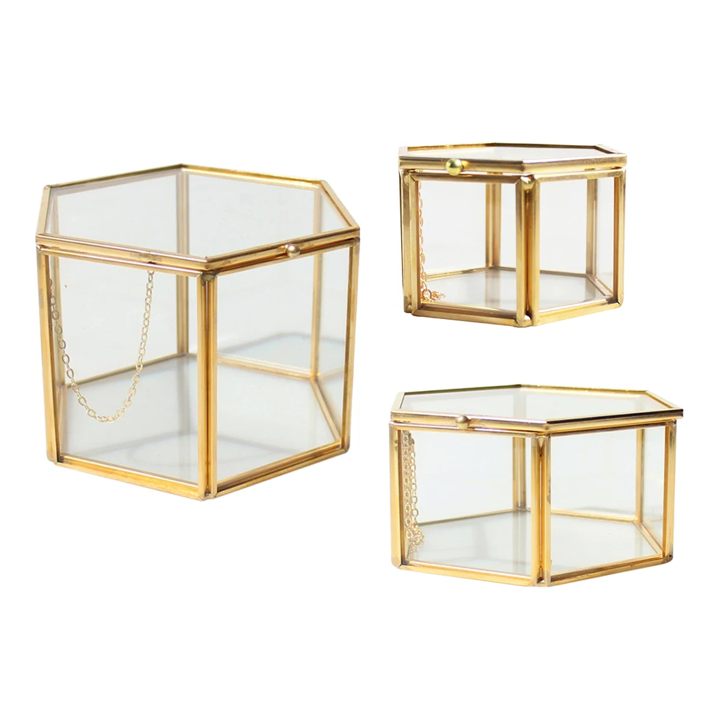 Modern Hexagon Clear Glass Brass Geometric Terrarium Fern Moss Air Plant Display Case Art Home Garden Decor
