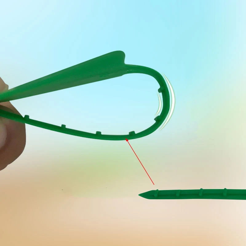 10938502046_456212297_副本