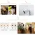Xiaomi Smart Outdoor Camera EC2 Global Version IP66 Водонепроницаемый пылезащитный Wifi С Батареей Дистанционный Голосовой Домофон Сигнализация Mi Home