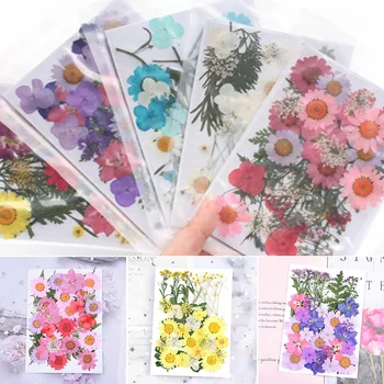 

Dried Pressed Flowers Combination for Resin Art Craft DIY Art Floral Decors Collection Gift XH8Z