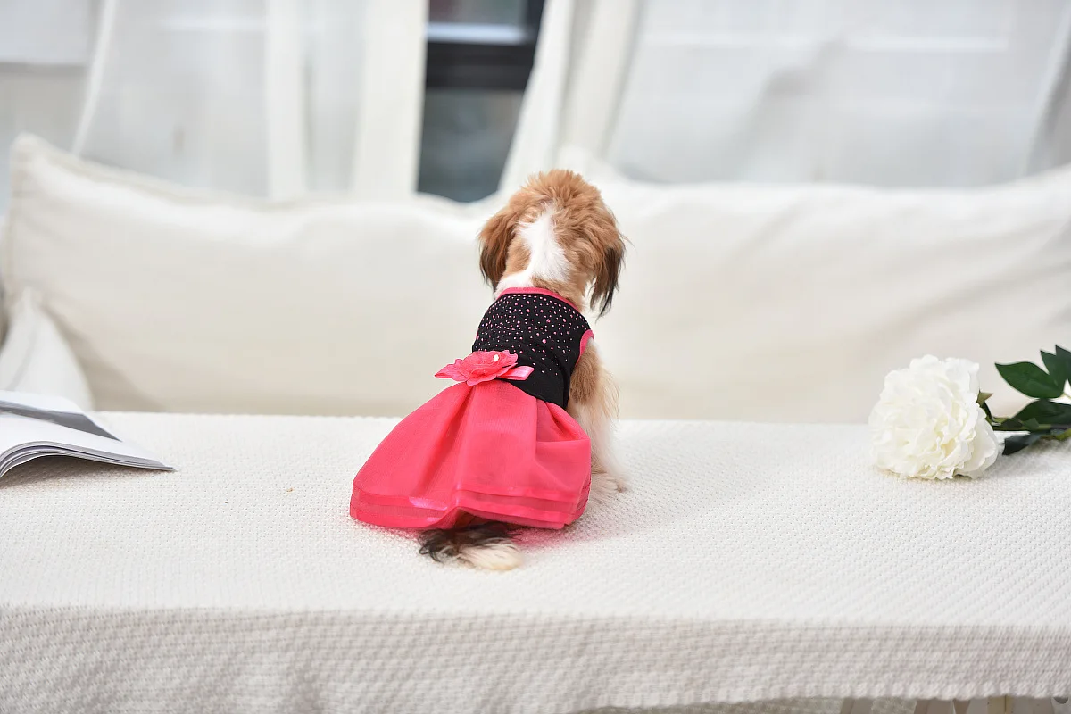 优宝龙宠物衣服 (129).jpg