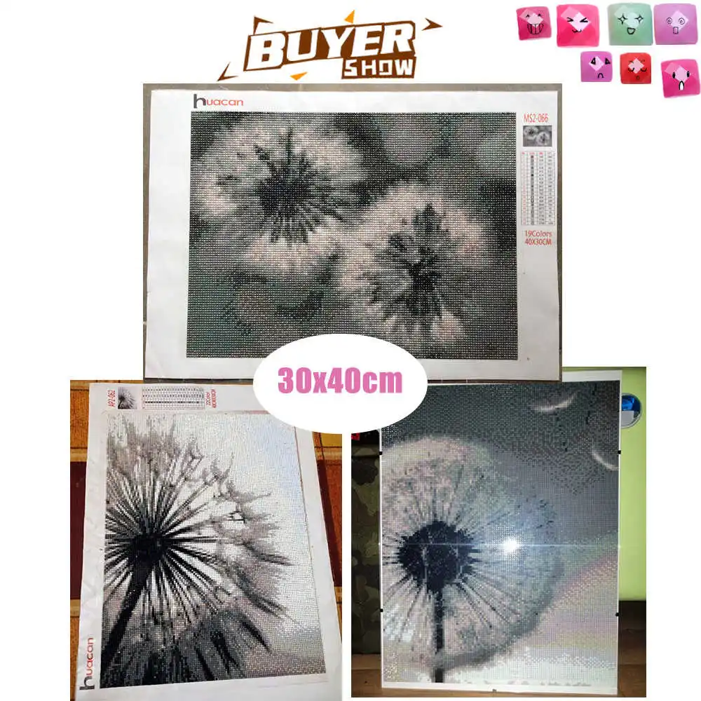 Huacan Diamond Painting Kit Flower Handmade Gift Embroidery Black And White Dandelion Living Room Wall Decoration diamond painting