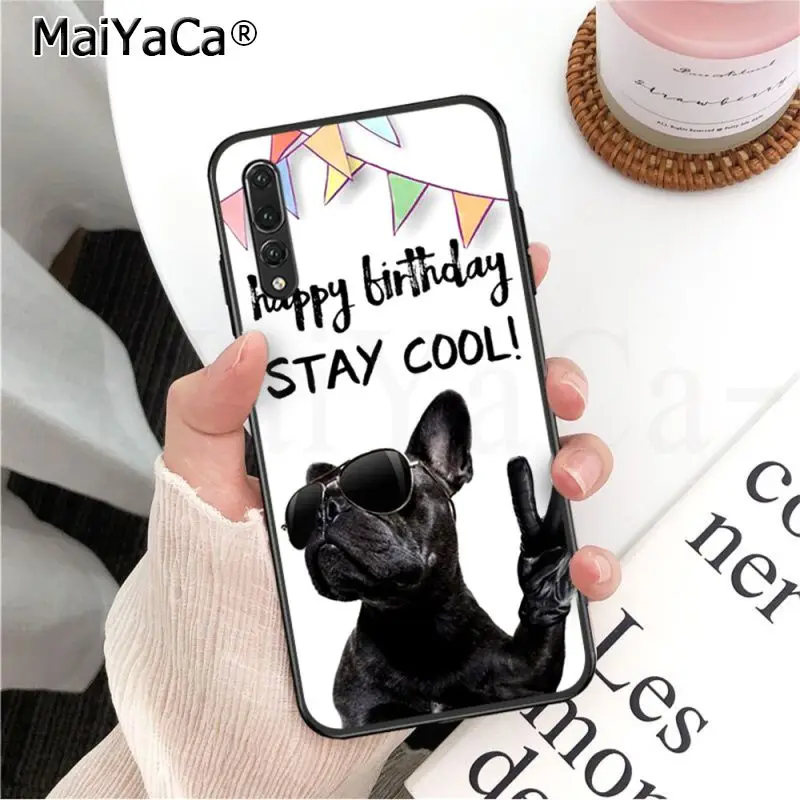 Frenchies Pretty puppy Pug Bulldog