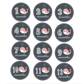 

12PC Baby Monthly Stickers 1-12 Months Newborn Commemorative Photo Props Cartoon Infant Growth Photography Milestone Accessories