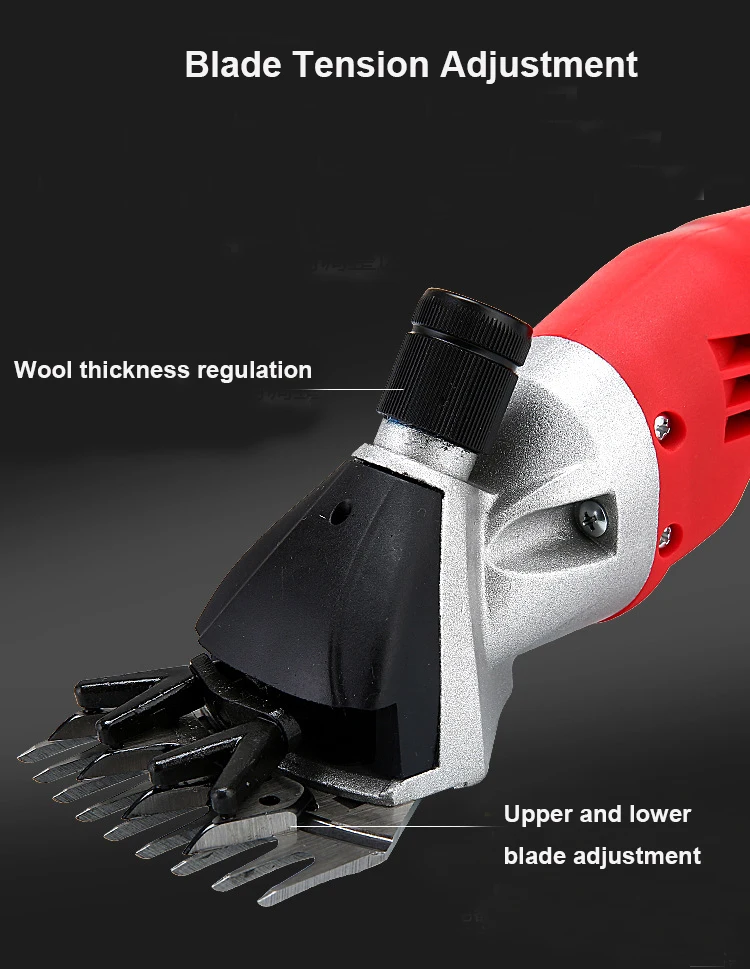 3926189020_1062462387