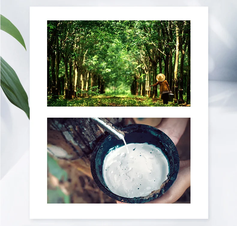 He6307bb112a847a0aba84d121eb779b06