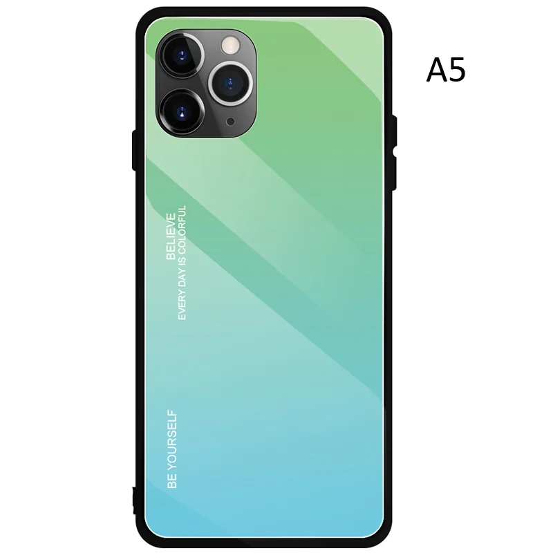 A5 Чехол из углеродного волокна с градиентом из закаленного стекла для iPhone 11 Pro Max - Цвет: A5