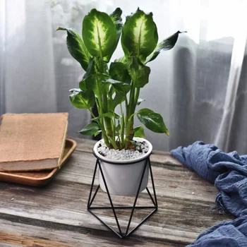 

Iron Geometric Wrought Simple Succulent Iron Frame Succulent Herb Cactus Flower Pot Ceramic Pot Green Planter Homejjps