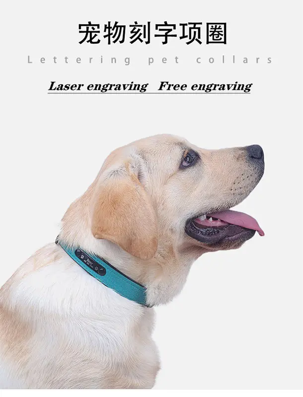 11307946304_1376810279_副本