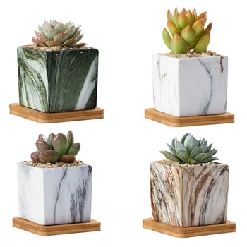 

1 Set of 4pcs Succulent Pot Simulation Stone Grain Stylish Plant Pot Flower Pot Succulent Container for Garden