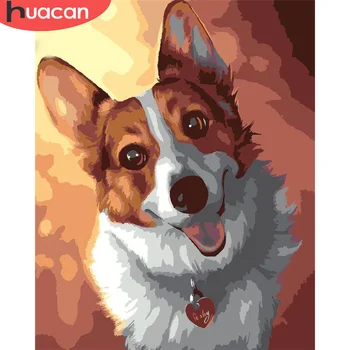 

HUACAN Paint By Number Dog DIY Pictures By Numbers Animal Kits Drawing On Canvas Hand Painted Painting Art Gift Home Decor