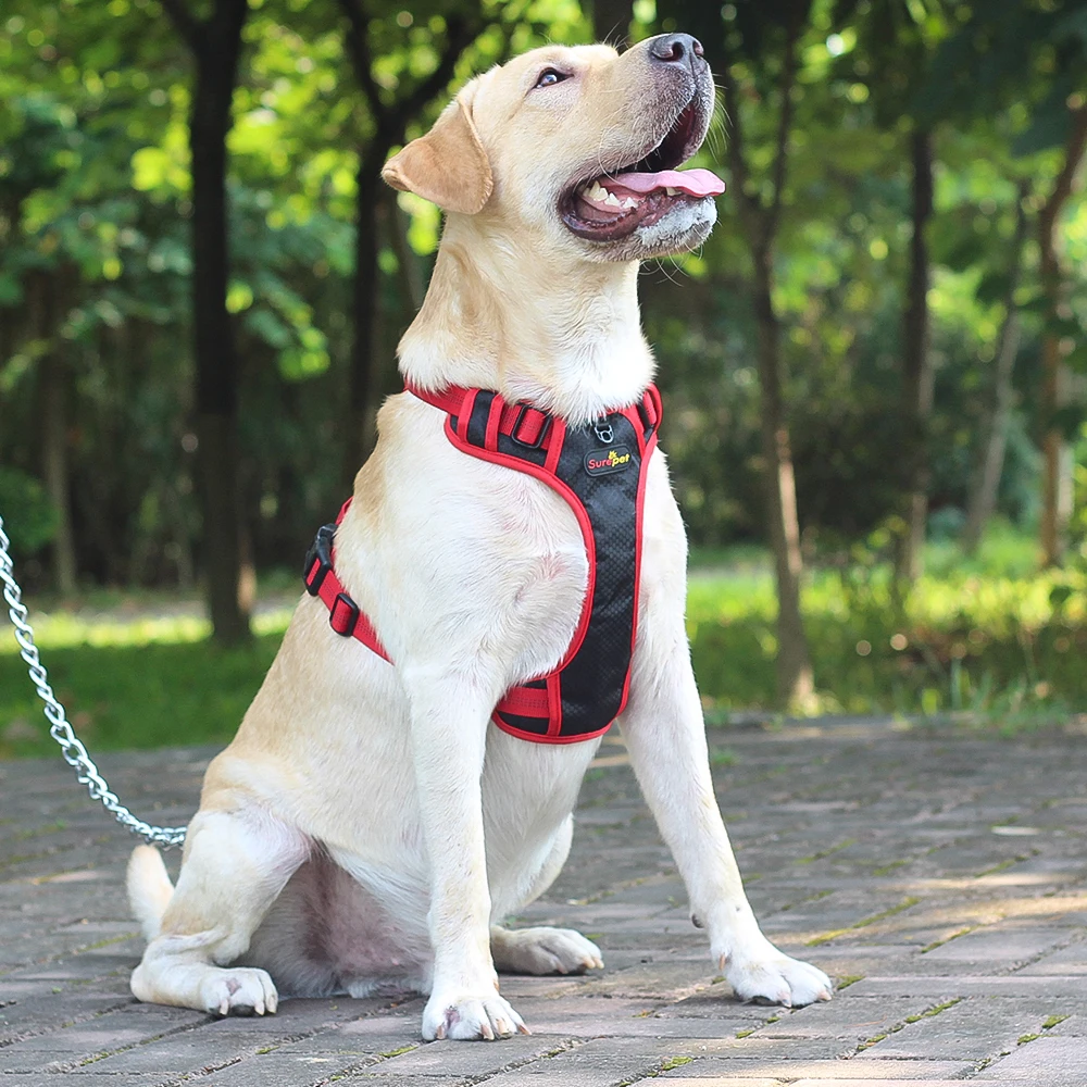 Шлейка для собак без натяжения регулируемый светоотражающий жилет шлейка