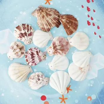 

120Pcs Mixed Colorful Scallop Shell Natural Seashell from Sea Beach DIY Craft P0RF