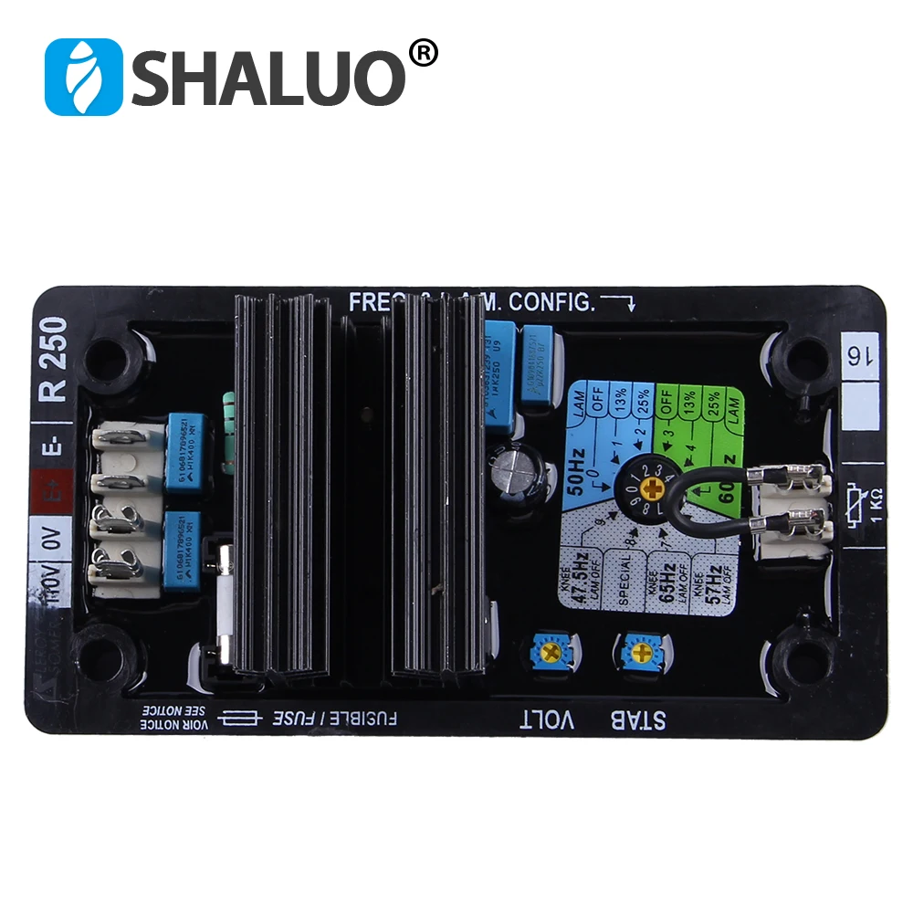 R250 AVR (6)