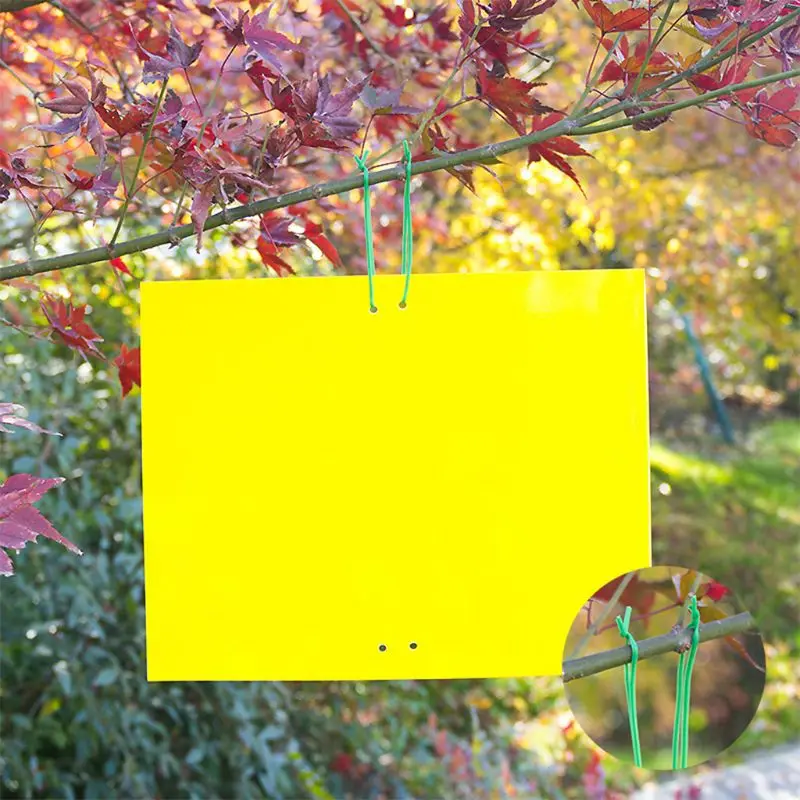 30-Pack Dual-Sided Yellow Sticky Traps for Flying Plant Insect Like Fungus Gnats, Whiteflies, Aphids, Leaf Miners, Other Flying