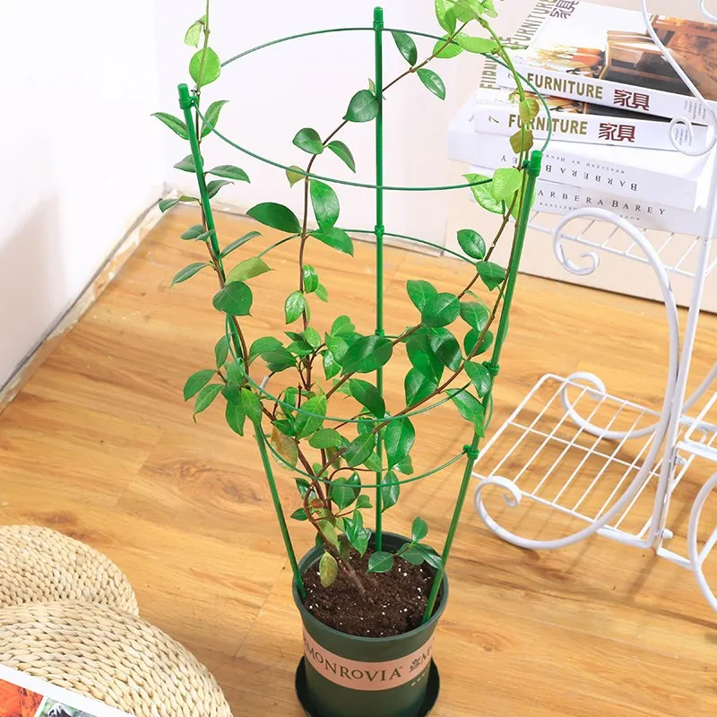 10601820041_731373760