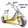 yellow 1000W 12AH