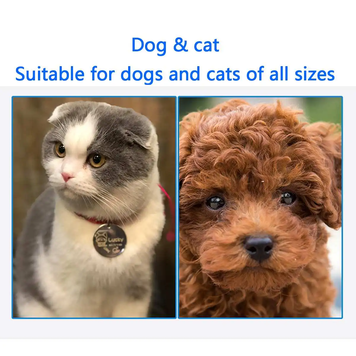 Cute Pet Protective Collars for Dogs Cats Wound Healing Protection Dog Cat Collars Anti-Bite Neck Cone Recovery Circle Cute Pet Protective Collars for Dogs Cats Wound Healing Protection Dog Cat Collars Anti-Bite Neck Cone Recovery Circle