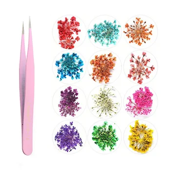

12 Color Nail Dried Flowers Decoration Nail Art Accessories Real Flower Diy Manicure Decoration Grid Tools Box Package