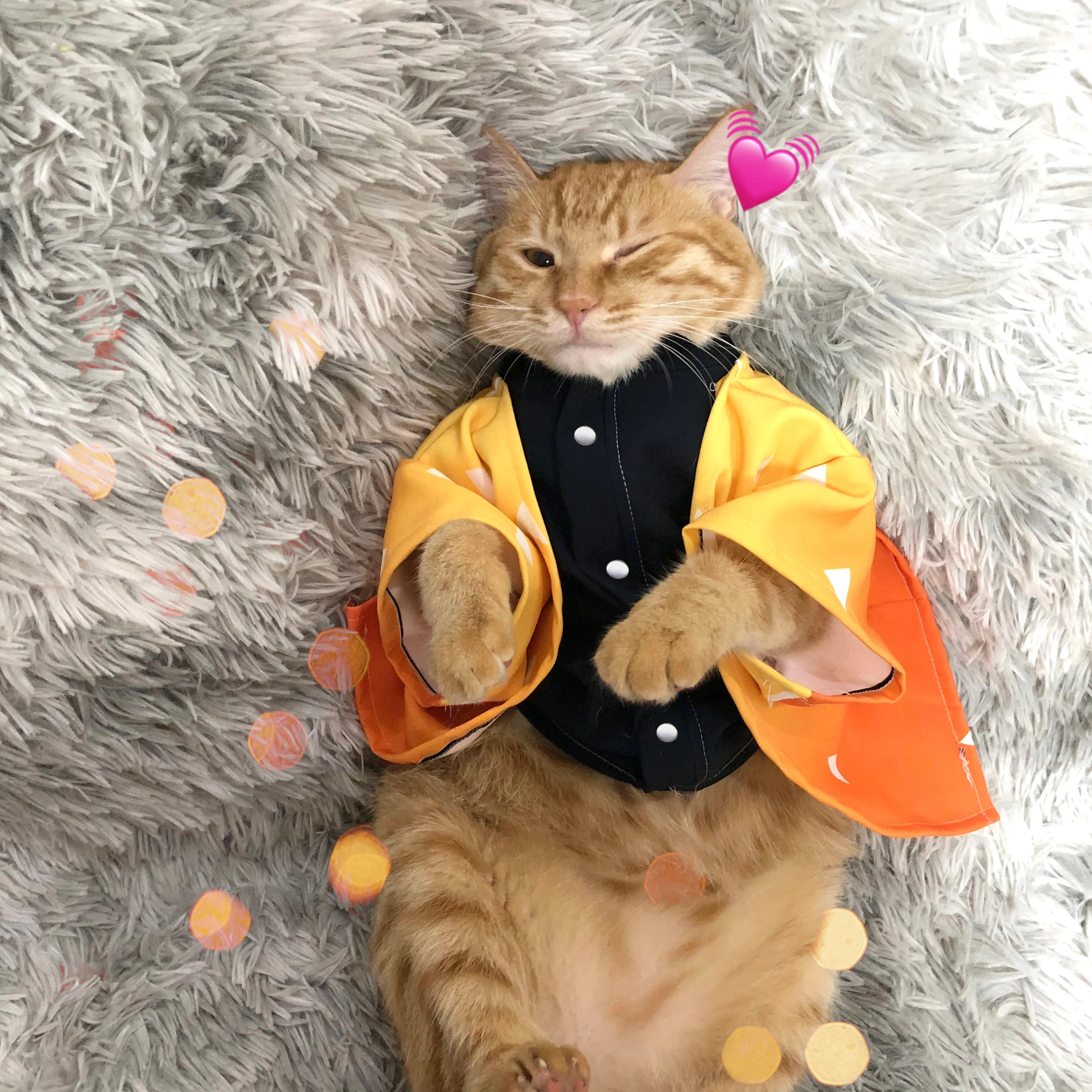 Костюм-накидка для косплея «Demon Slayer Kimetsu No Yaiba Cats Kamado Tanjirou Nuzuko Tomioka Giyuu Kochou Shinobu Agatsuma Zenitsu»