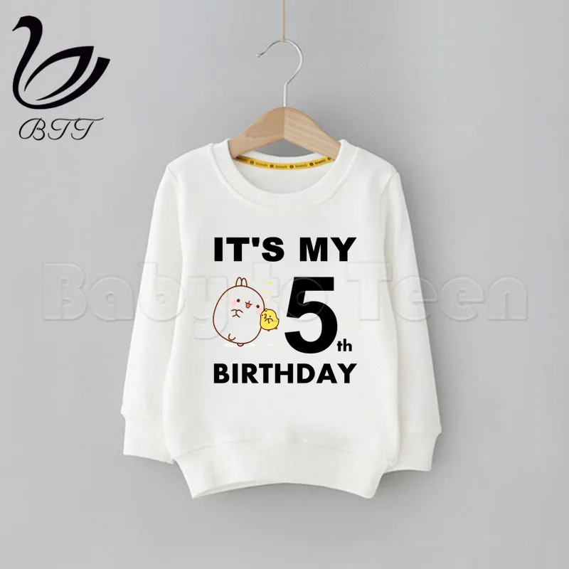Birthday Molang and Piupiu Cute Rabbit Kid Sweatshirts Children Hoodie Cute Print Sweatshirts Kid Clothes Baby Birthday Hoodies
