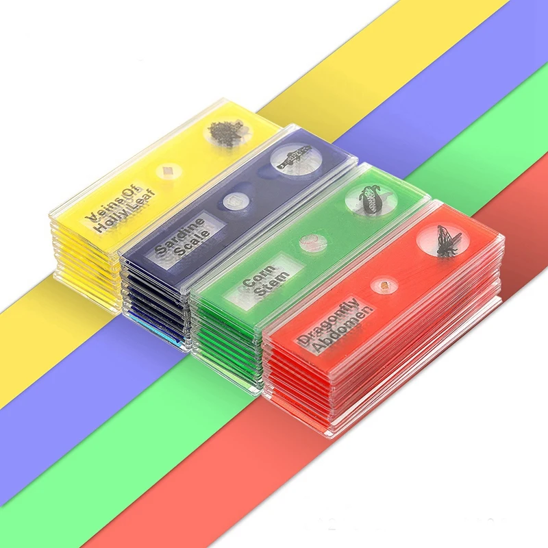 ELEG-48pcs детская Пластик слайды подготовленные для микроскопа из Животные, насекомые и растения цветы образец образцов для стерео микроскопов