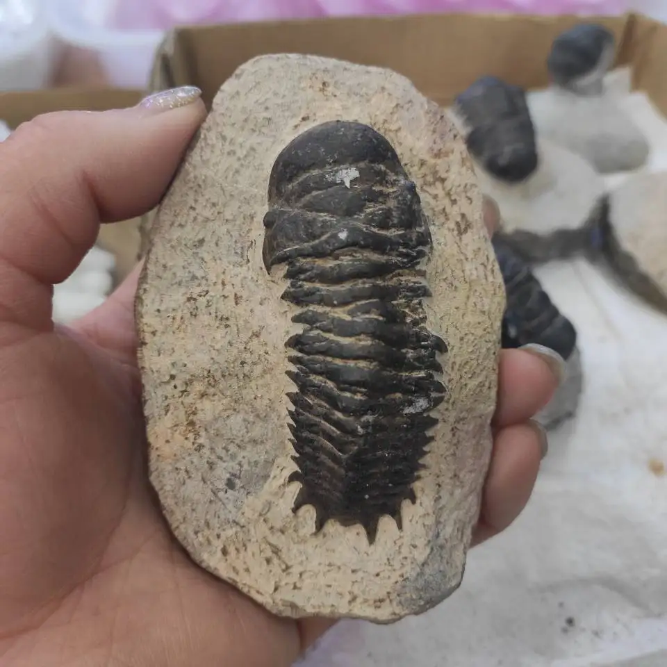 QQ图片20200425145605