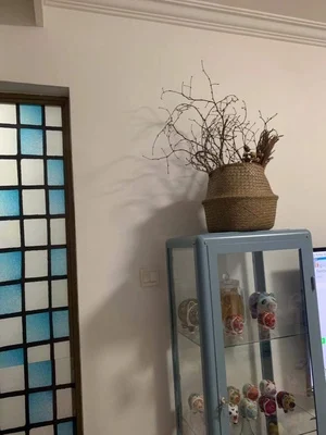 O1CN016riiEb1wZ458IFSt1_!!0-rate.jpg_400x400