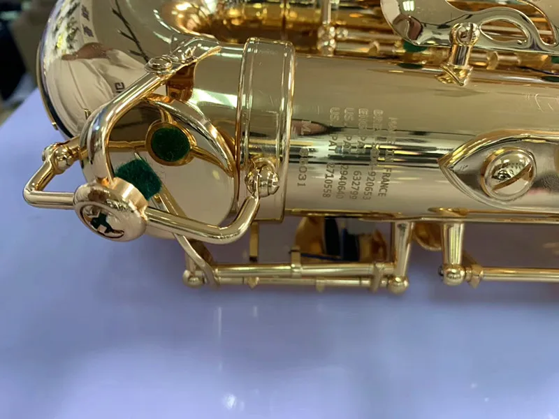 mmexport1556589219880