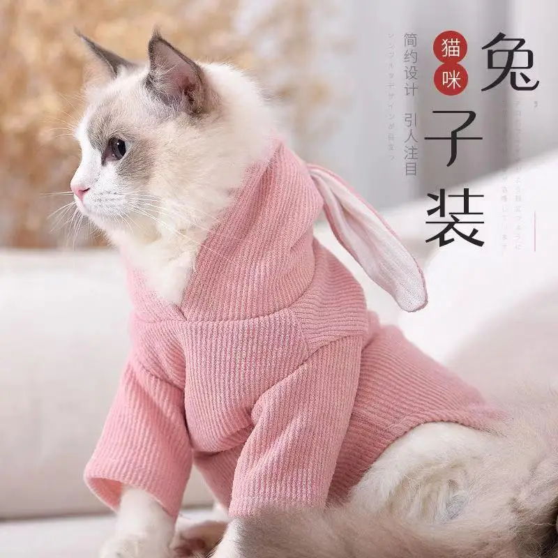 Cat Clothes Spring Clothes Small Dog Teddy Cat Pet Summer Clothes Spring and Autumn Clothes Pet Clothes BB50WY