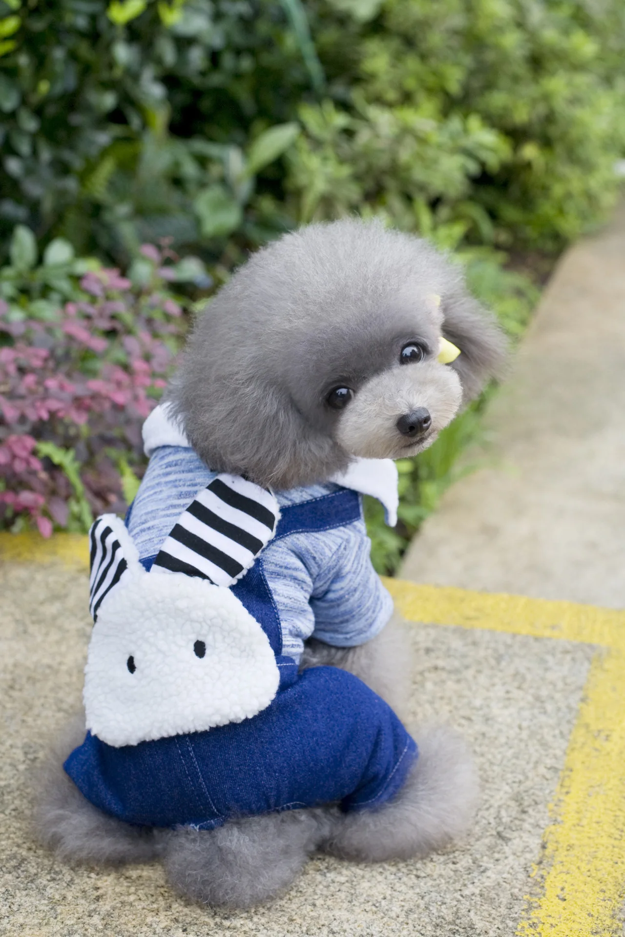 Cross-border hot selling pet clothes dog four-legged clothes cat clothes bean rabbit four-legged cotton clothing Amazon