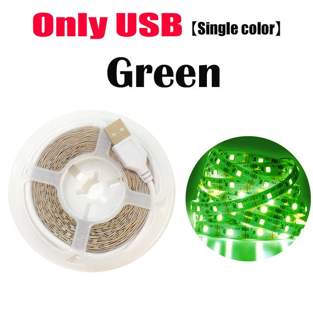 Bluetooth Control RGB 5050 2835 LED Lights Strip USB 5V Flexible Lamp Tape Diode Festival Fita White Tira Luces TV PC Desk Luz Onlly USB Green