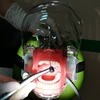 Head Model Dental Simulator The Head Model Can Be Installed On The Pillow Of The Dental Chair It Is Used For Dentist Teaching ► Photo 3/6