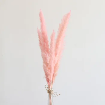 

7pcs Pampas Grass Natural Dry Flower Home Fire Imported Reed Pink Rabbit Tail Grass Hanfeng Bouquet Living Room Coffee Shop