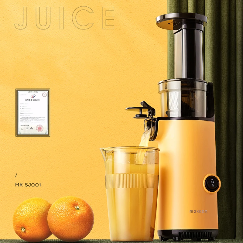 Compact Slow Juicer Machine Electric Juicer Cold Press Squeezer Vegetable  800ML